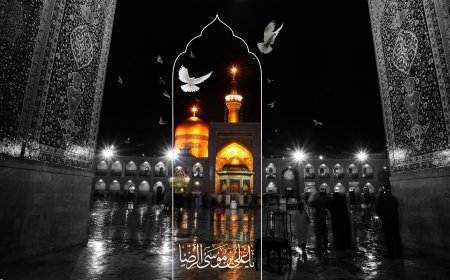 امام رضا در مواجهه با فرقه ها