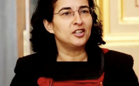 Nazila Qane's role: from human rights reporting to inciting rebellion and psychological operations against Iran's security